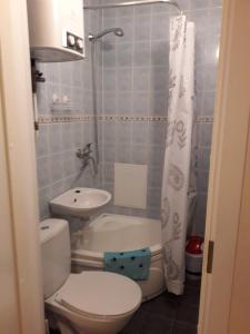 a small bathroom with a toilet and a sink at Pilve apartment in Võru