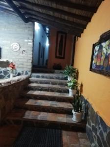 a set of stairs in a building with potted plants at HOTEL MONTE VERDE in Sutatausa