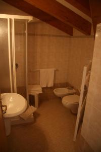 アンダロにあるDolomiti Hotel Olimpiaのバスルーム(洗面台、トイレ、シャワー付)