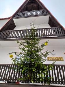 una planta al lado de un edificio en Apartament u Helenki, en Groń