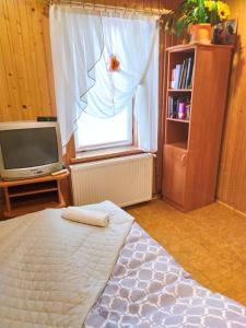 a bedroom with a bed and a tv and a window at Apartament u Helenki in Groń