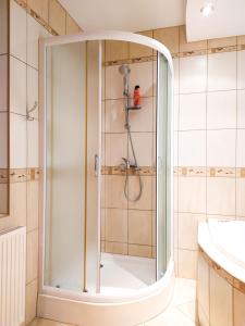 a shower with a glass door in a bathroom at Apartament u Helenki in Groń