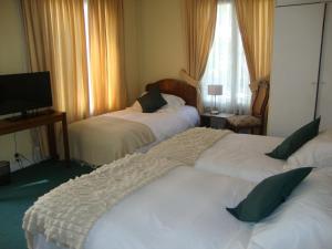 a hotel room with two beds and a television at Hotel Las Flores in Santiago