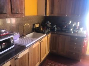 a kitchen with a sink and a microwave at Globe Guesthouse in Castlemaine