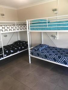 a row of bunk beds in a room at Hervey Bay Flashpackers in Hervey Bay