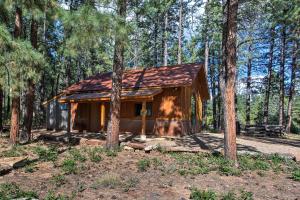 Gallery image of Semi-Private Mancos Cabin on 80 Acres with Mtn View! in Dolores
