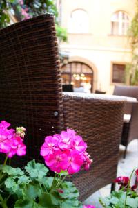 Fotografie z fotogalerie ubytování Hotel U Zlateho jelena v Praze