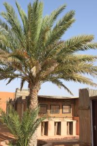 a palm tree in front of a building at Nomadic Desert Camp in Al Wāşil