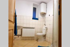 扎科帕内Apartament w CENTRUM Zakopanego的带马桶和水槽的浴室