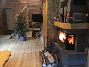 a living room with a fireplace and a christmas tree at Domek Malinka 13 in Wisła