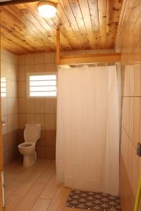Koupelna v ubytování Gîte des Dodos