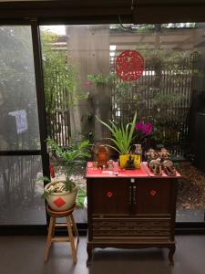 幸福客棧外面的花园