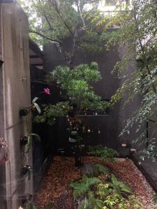 幸福客棧外面的花园