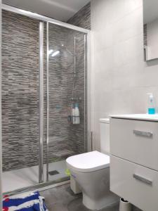 y baño con aseo y ducha acristalada. en Cozy Apartment Malasaña FREE Parking, en Madrid