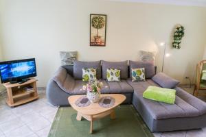 ein Wohnzimmer mit einem Sofa und einem TV in der Unterkunft Ferienhaus Seensucht in Göhren-Lebbin
