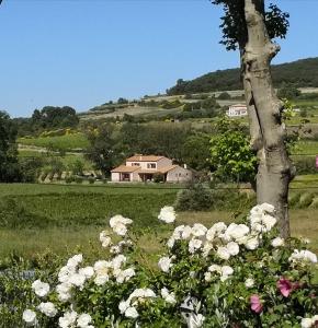 Gallery image of Domaine de Peilhan in Roujan