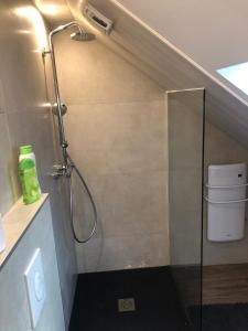 a bathroom with a shower and a toilet at Charming Home - City Center Cosy Apartments in Colmar