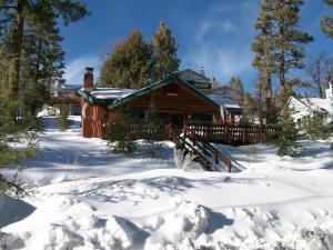 Big Bear Lake Cabin with Deck about 7 Mi to Ski Slopes! v zimě + 16 fotografií