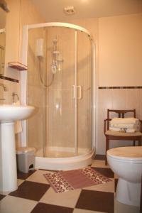 a bathroom with a shower and a toilet and a sink at Ken-Mar House Bed and Breakfast in Ballymoney