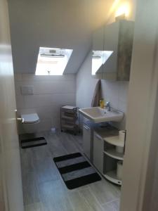 a small bathroom with a sink and a toilet at Diti Apartment in Lottstetten