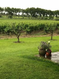 Gallery image of Domaine de Peilhan in Roujan +31 photos