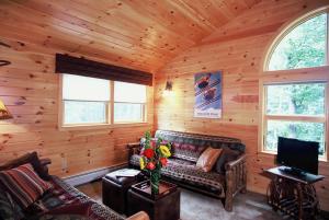 Fryeburg的住宿－Upscale Fryeburg Cabin Hot Tub and Billiards Table!，小木屋内带沙发的客厅