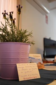 roślina w różowym garnku na stole z notatką w obiekcie Apartamento La Guinda w mieście Consuegra