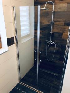 W łazience znajduje się prysznic ze szklanymi drzwiami. w obiekcie Apartamenty u Krysi w mieście Witów