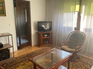 a living room with a chair and a television at Apartman 3S Pale Jahorina in Pale