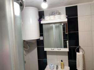 Vannituba majutusasutuses Apartmani Sredojevic
