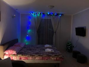 Voodi või voodid majutusasutuse Apartmani Sredojevic toas