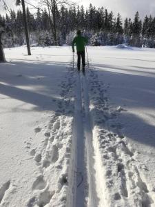 Chata Čerenka during the winter