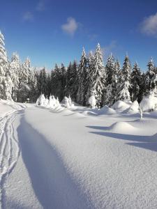 Chata Čerenka during the winter