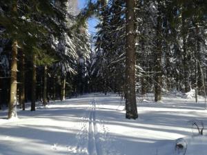 Chata Čerenka during the winter