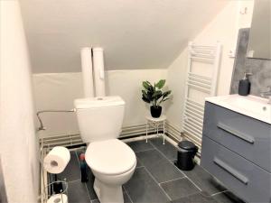 Ванная комната в Comfort Stay Basel Airport 3B46