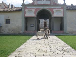 Mynd úr myndasafni af Al Palazzaccio í Calci