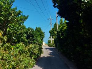 Fotografie z fotogalerie ubytování Uminchuno Yado v destinaci Nago