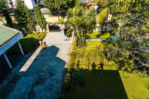 - une vue sur le jardin planté de palmiers dans l'établissement Exotic Villa Homestay, à Guwahati