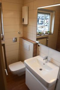 La salle de bains est pourvue d'un lavabo, de toilettes et d'un miroir. dans l'établissement FeWo Julie, à Winterberg