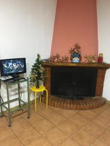 カミリアテッロ・シラーノにあるAppartamento Alexanderのリビングルーム(暖炉、テレビ付)、クリスマスツリー