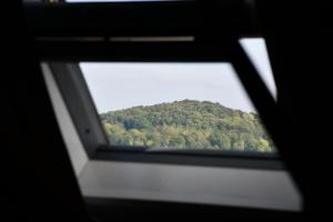 Gallery image of Au Petit Jardin in Cassel +30 photos