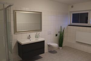 bagno con lavandino, servizi igienici e specchio di Dünenhaus Wohnung 6 a Lubecca