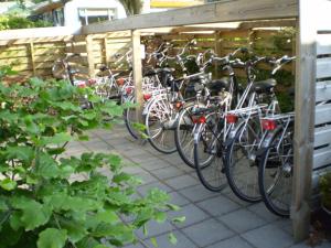 a row of bikes parked next to a fence at B&B - Pension Perruque in Koudum