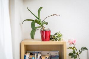 Biblioteca nel bed & breakfast