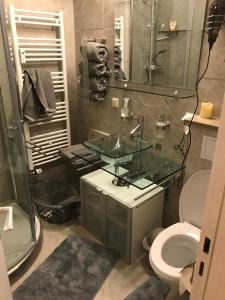 een badkamer met een glazen wastafel en een toilet bij Urlaub im Schwarzwald in Enzklösterle