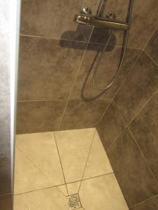 a shower with a glass door with a tile floor at La cavalièra in Polminhac