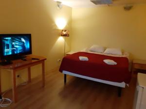 TV a/nebo společenská místnost v ubytování Majaka Hostel