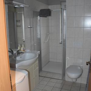 a bathroom with a shower and a sink and a toilet at Flora in Galenbeck
