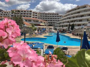 ośrodek z basenem z leżakami i parasolami w obiekcie Studio at popular Garden City complex, heated pool - close to beach w Playa de las Americas