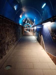 a long tunnel with blue lights in a subway at Casa D'amore in Riomaggiore